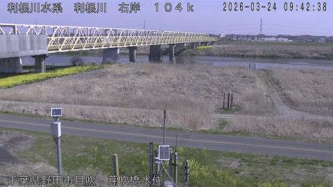 tonme2026032410_image