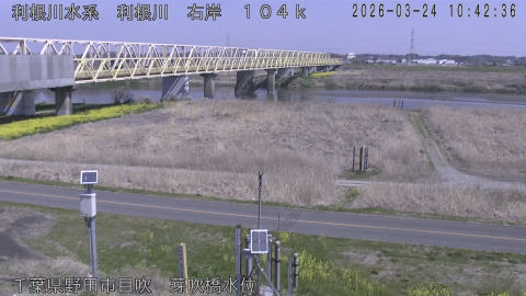 tonme2026032411_image