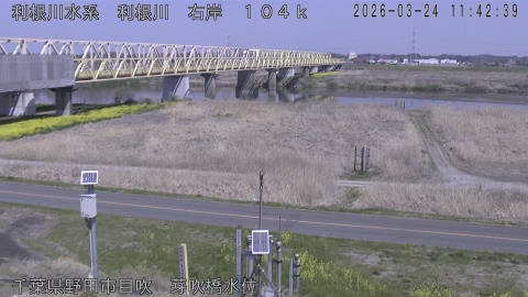 tonme2026032412_image