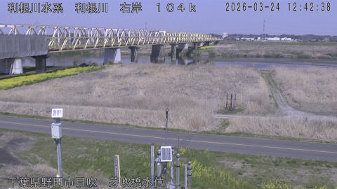 tonme2026032413_image