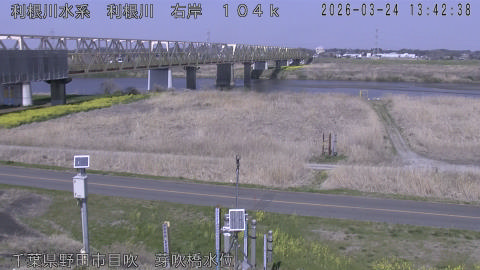 tonme2026032414_image