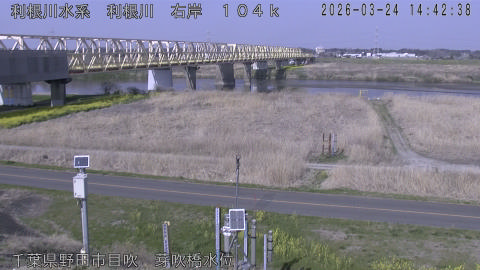 tonme2026032415_image