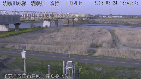 tonme2026032417_image