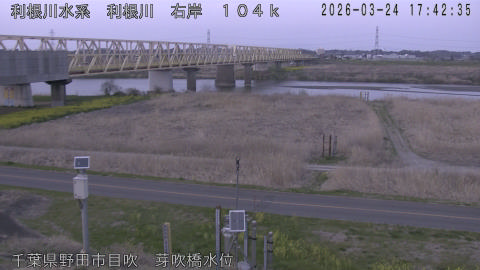 tonme2026032418_image