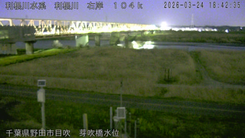 tonme2026032419_image