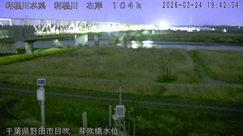 tonme2026032420_image