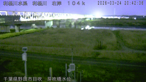 tonme2026032421_image