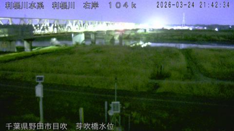 tonme2026032422_image