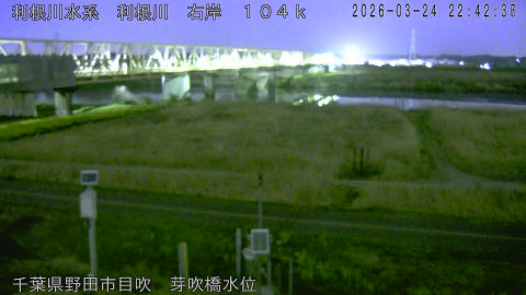 tonme2026032423_image