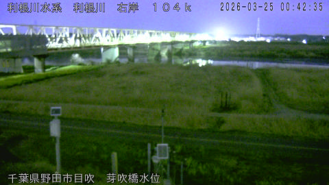 tonme2026032501_image