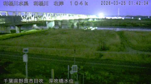 tonme2026032502_image