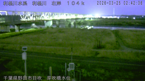 tonme2026032503_image