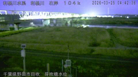 tonme2026032505_image