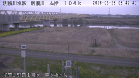 tonme2026032506_image