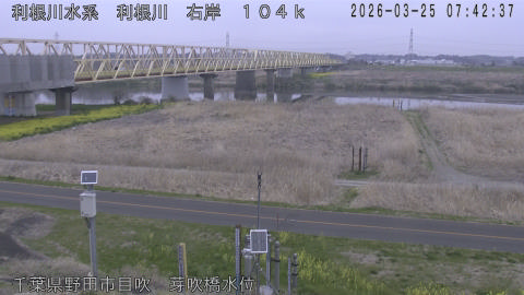 tonme2026032508_image