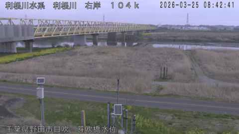 tonme2026032509_image