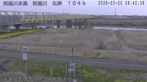 tonme2026032510_image