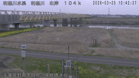 tonme2026032511_image