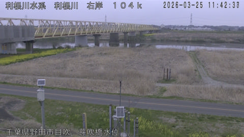 tonme2026032512_image