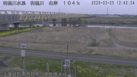 tonme2026032513_image