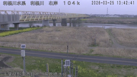 tonme2026032514_image