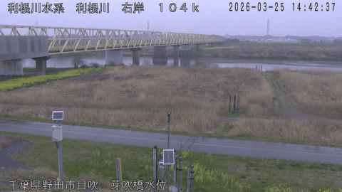 tonme2026032515_image