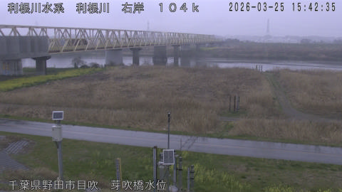 tonme2026032516_image