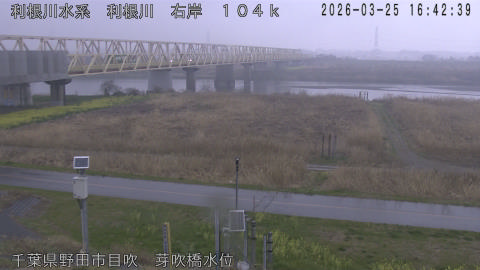 tonme2026032517_image