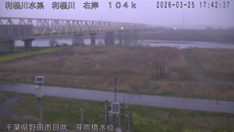 tonme2026032518_image