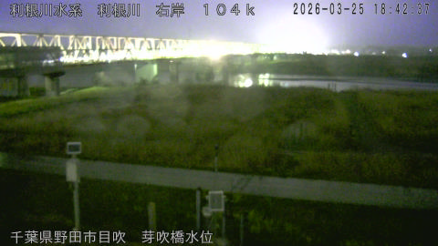 tonme2026032519_image