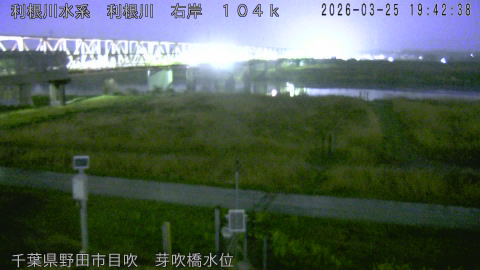 tonme2026032520_image