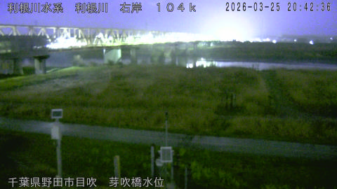 tonme2026032521_image