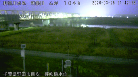 tonme2026032522_image