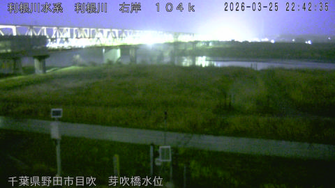 tonme2026032523_image