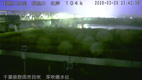 tonme2026032600_image