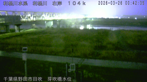 tonme2026032601_image