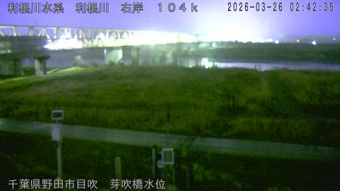 tonme2026032603_image