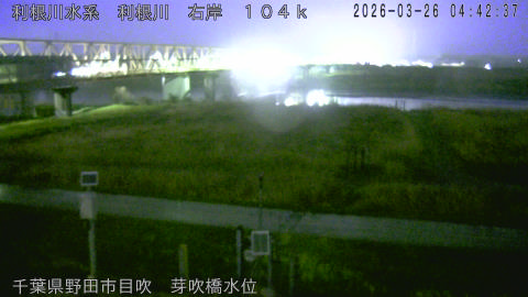 tonme2026032605_image