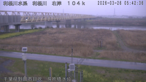 tonme2026032606_image