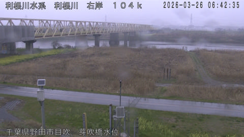 tonme2026032607_image