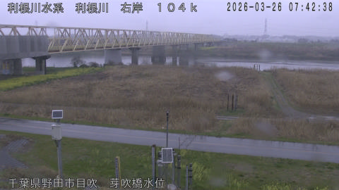 tonme2026032608_image