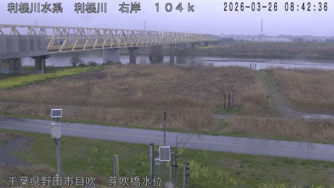 tonme2026032609_image