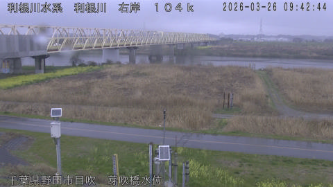 tonme2026032610_image