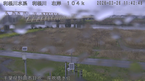 tonme2026032612_image