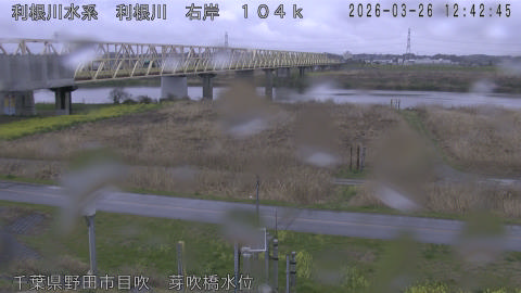 tonme2026032613_image