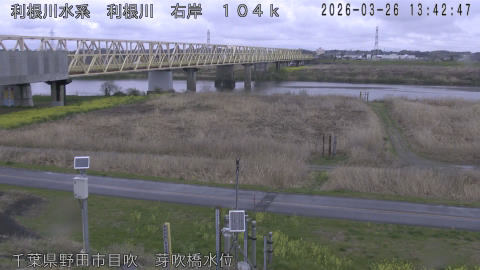 tonme2026032614_image