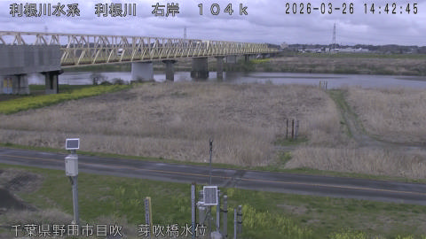 tonme2026032615_image