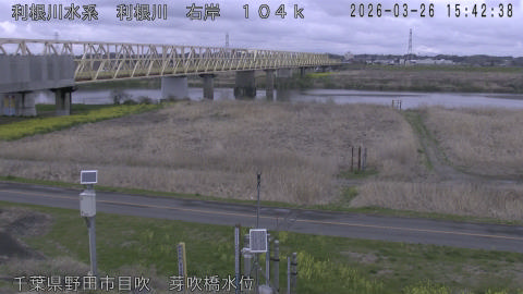 tonme2026032616_image