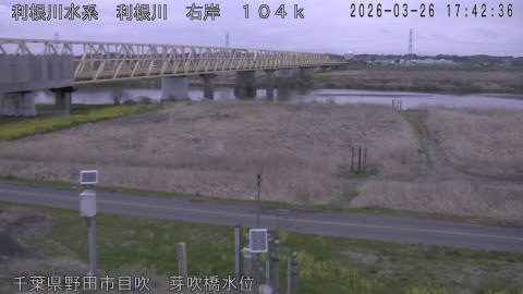 tonme2026032618_image