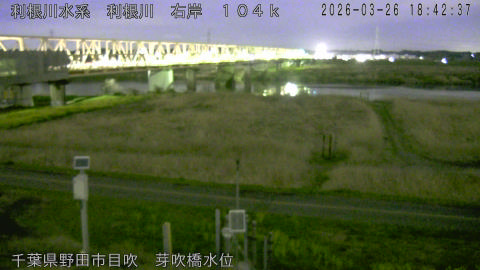 tonme2026032619_image